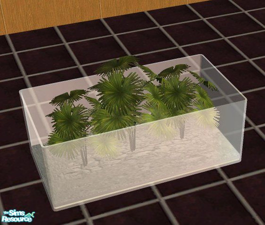 Sims 2 — Plantset - Plant 2 by marilu — 