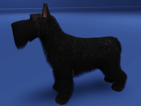 Sims 3 — Scottish Terrier by LizardDaughter — Scottish Terrier
