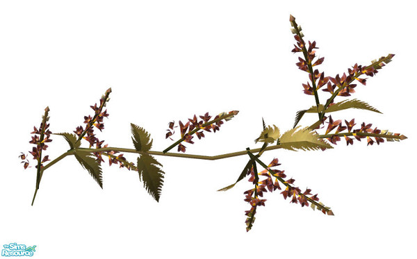 Sims 2 — Wallflowers  - Exotic queen 1 by Sophel21 — add some decorative flowers to your walls and houses. And your sim
