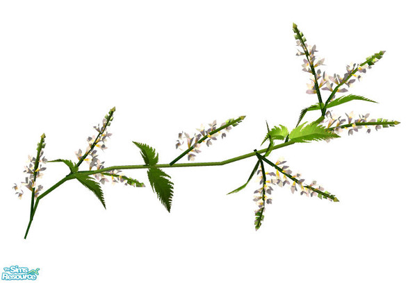 Sims 2 — Wallflowers  - white by Sophel21 — add some decorative flowers to your walls and houses. And your sim have not