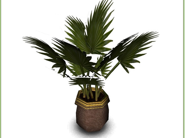Sims 3 — AstraSims3_Set0001_palm by Astra-2501 — AstraSims3_Set0001_palm
