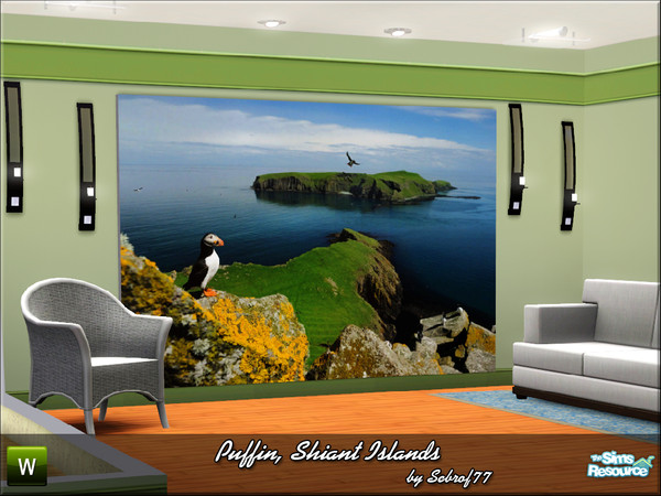 Sims 3 — Puffin, Shiant Islands v05-03-1432 by sebrof772 — By Sebrof77