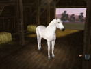 Sims 3 — Mist by Bloody_Eve — An adult stallion by me Traits:Untrained Fast Brave No Custom Content or slider used
