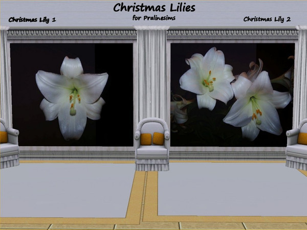 Sims 3 — Christmas Lily for Pralinesims by whisperingsim by whisperingsim — Christmas Lily for Pralinesims is a pair of