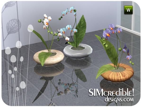 Sims 3 — Astraea Orchid by SIMcredible! — by SIMcredibledesigns.com available at TSR