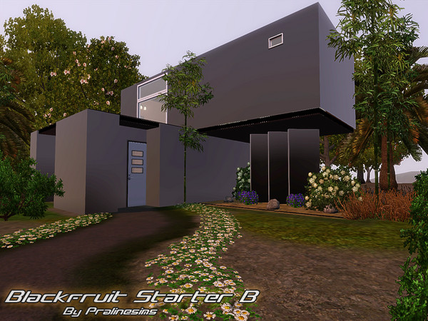 Sims 3 — Blackfruit Starter B  by Pralinesims — EP's required: World Adventures Ambitions Late Night 