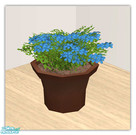 Sims 2 — Decorative Plants - Blue Periwinkle by sim_man123 — New Periwinkle mesh, part of my Decorative Plants set.