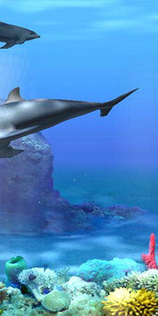 Sims 3 — Dolphin Mural 2 Karyn by Kaydarragh2 — Lovely Dolphin Underwater Scene