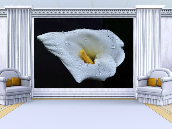 Sims 3 — Raindrops on Arum_2_whisperingsim by whisperingsim — This painting is the second one of a pair of Arum Lily