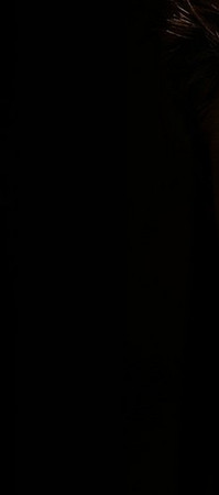 Sims 3 — Wall Jensen Ackles p3 by VivaLaVida2 — by VivaLaVida