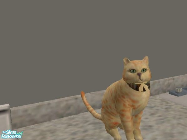 Sims 2 — Tabby by hacc2258 — This Kitty loves to scratch on furniture so get a scratch post instead, cat also loves toy