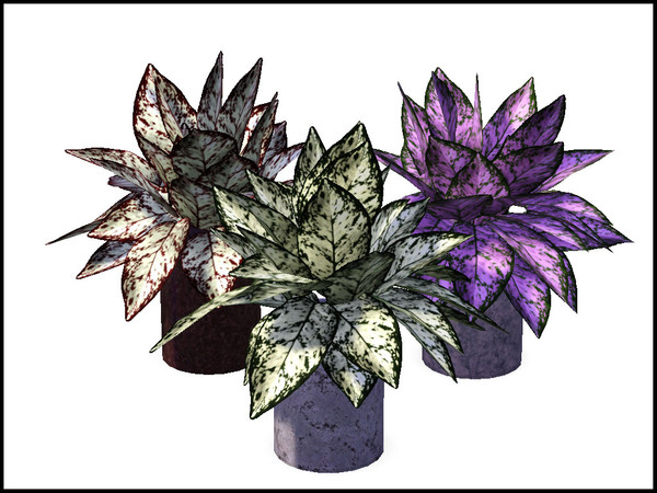 Sims 3 — Chinese Evergreen Planter by sim_man123 — Even on the darkest of winter days, this Chinese Evergreen will