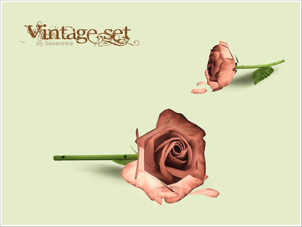 Sims 3 — Rose one by Severinka_ — Created by Severinka, Roses on the table For an elegant decoration of your interior. 2