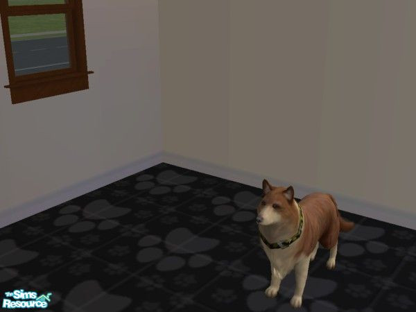Sims 2 — Maxwell by hacc2258 — This is a dog who loves to have fun.