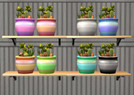Sims 2 — Cacti Collection Recolors by Sims99Fanatic2 — 8 Recolors of Mansion and Garden Cacti Collection.
