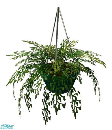 Sims 2 — MMFallingfern  by RhondaBlonda — 