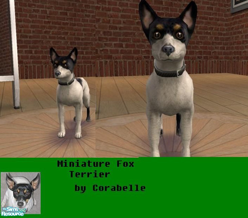 Sims 2 — miniature fox terrier by corabelle42 — This dog is truely an american breed. It originated from crossing small