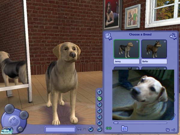 Sims 2 — Jenny by UltimoStep — This is my dog Jenny. She is one verry sweet German Shepherd-Lab mix.