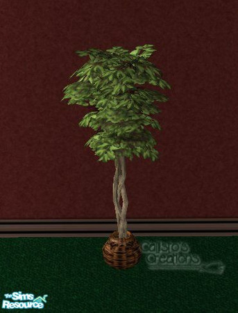 Sims 2 — Calli_TC72_Add-ons - No Fuss Ficus by Callisto149 — Some addons to my TC72 Soft Touch Bedroom. I wasn\'t really