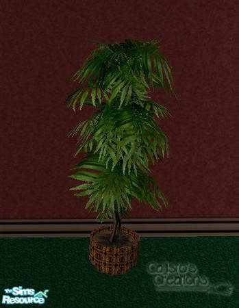 Sims 2 — Calli_TC72_Add-ons - Potted Ficus by Callisto149 — Some addons to my TC72 Soft Touch Bedroom. I wasn\'t really