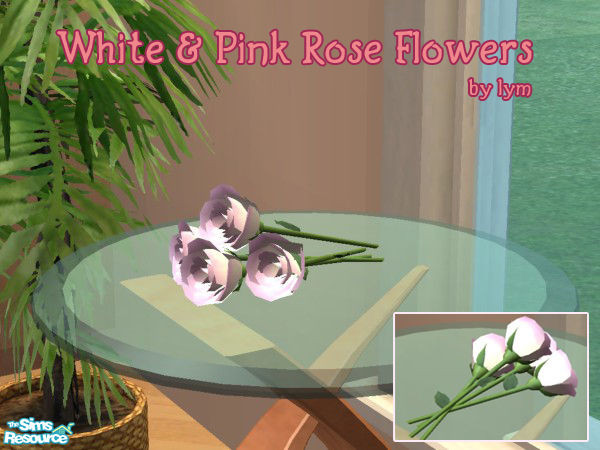 Sims 2 — Rose Flowers Collection - White & Pink by lym — Part of my Rose Flowers Collection.