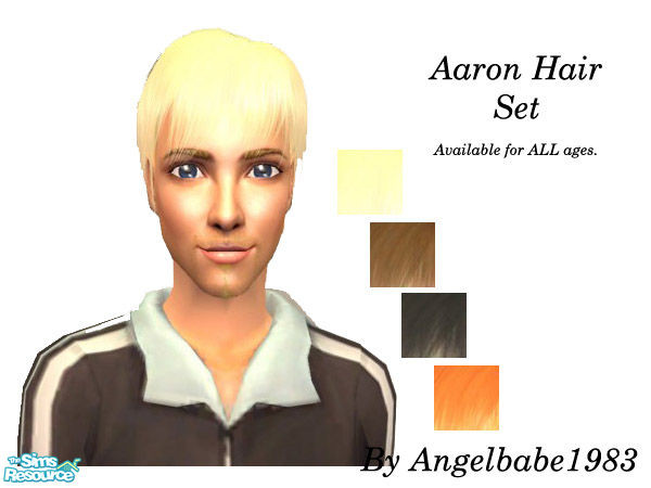 Sims 2 — Aaron Hair Set by Angelbabe1983 — Here is the first of my Male Hair Sets. Based on a wonderful mesh by Raonjena.
