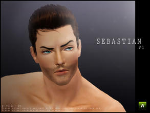Sims 3 — [ Sebastian ] - AM Face by Screaming_Mustard — Meet Sebastian, my latest male Sim. It's so hard to create Sims
