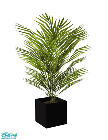 Sims 2 — Idea One Livingroom - Plant by Murano — Plant in a black pot.