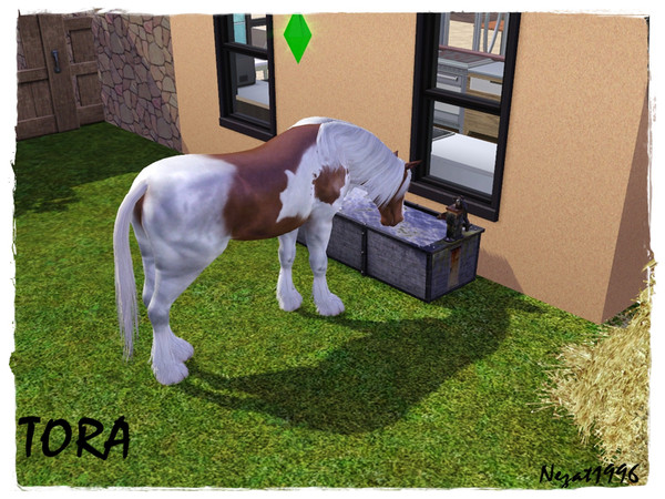 Sims 3 — Tora by nezat19962 — Tora is a beautiful, white-brown horse. She is neat, obedient and noisy.