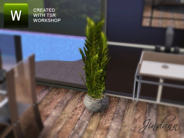 Sims 3 — Jindann Pine Plant by Jindann — Jindann Pine Plant is part of Glass Dining Set. TSRAA