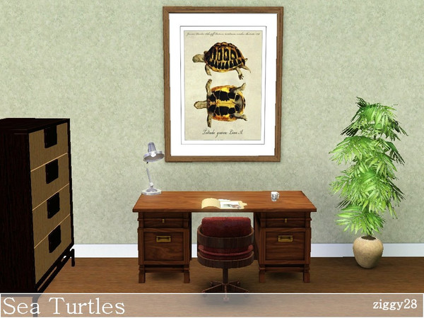 Sims 3 — Sea Turtle by ziggy28 — Sea Turtle a vintage illustration. Game mesh, Recolourable frame. TSRAA