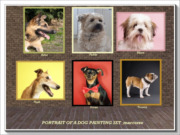 Sims 3 — Portrait of a Dog Painting Set by marcorse — Here are 6 'people sized' portraits of some family dogs, well