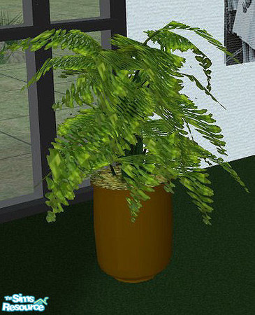 Sims 2 — OpenHouse Study 3 - Plant by openhousejack —  a house plant of green foliage