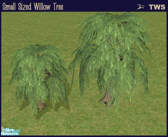 Sims 2 — Small Sized Willow Tree by wildstar24 — Willow tree reduced to 70% size from original Maxis version.
