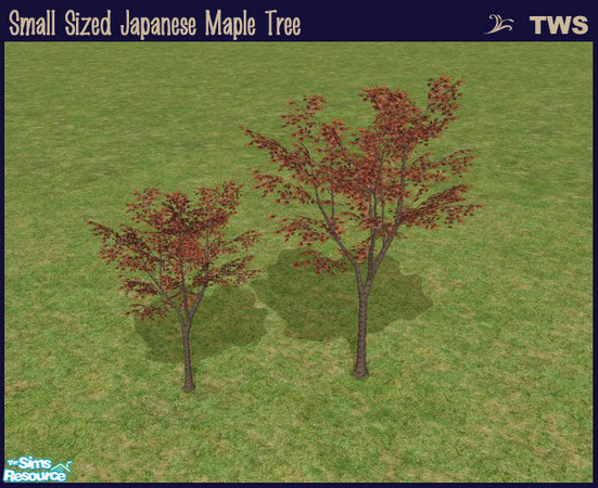 Sims 2 — Small Sized Japanese Maple Tree by wildstar24 — Japanese maple tree reduced to 70% size from original Maxis