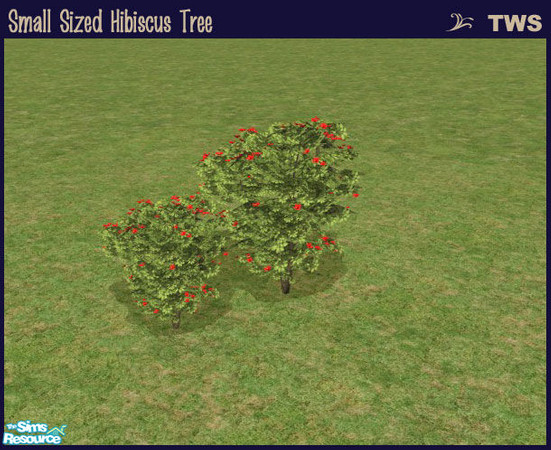 Sims 2 — Small Sized Hibiscus Tree by wildstar24 — Hibiscus tree reduced to 70% size from original Maxis version.