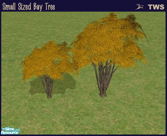 Sims 2 — Small Sized Bay Tree by wildstar24 — Bay tree reduced to 70% size from original Maxis version.