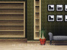 Sims 3 — Helmer's Built In Shelves by DT456 — A set of some modular shelves which can be placed in a wall. Saves space,