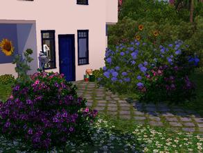 Sims 3 — Aegean Dream Summer House by simsfangirl — With it's heaven garden,this beautifully decorated house is totally