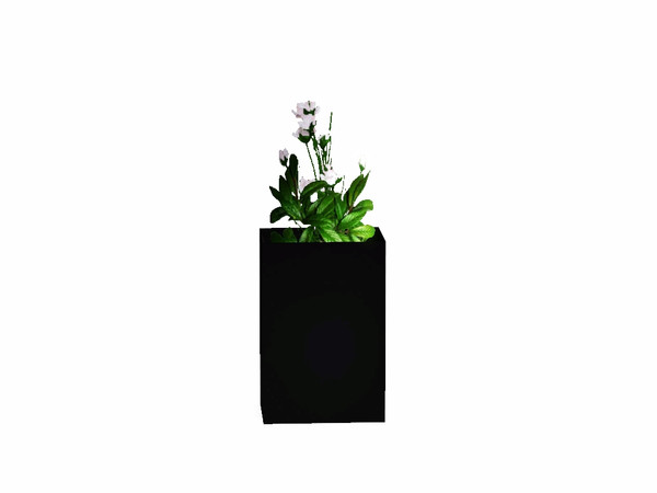 Sims 3 — White Cream Plant by Flovv — A pretty vase with flowers and leaves.