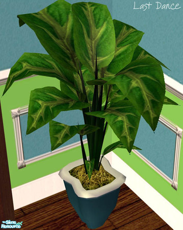 Sims 2 — Seascape Variegated Philodendron  by LastDance — A large variegated philodendron potted in a vibrant blue