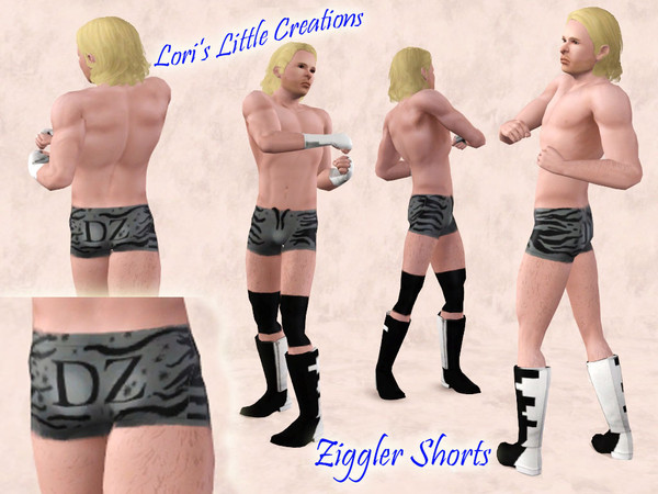 Sims 3 — Dolph_Ziggler_Breif by ldanti2 — 