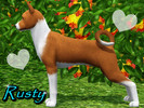 Sims 3 — Rusty - Basenji by Blondii162 — Rusty is a Basenji. Basenji is one of the breeds of dogs, belonging to the group