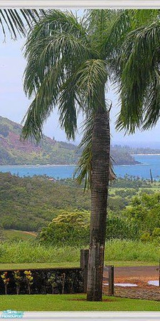 Sims 2 — Peaceful Palms Panel 4 by tamlfra — Beautiful 5 panel ocean view mural, with 2 alternate ends that add the