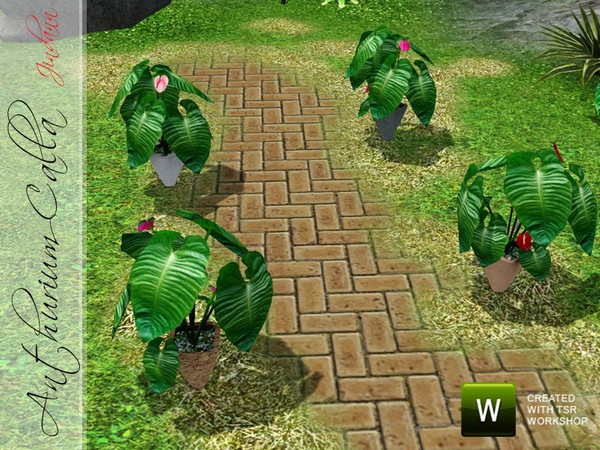 Sims 3 — Anthurium Calla by Jindann — Anthurium Calla is beautiful and great plant for your garden or your interior.