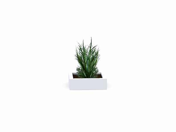 Sims 3 — Green Cream Short Grass by Flovv — A pretty plant.