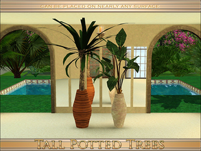 Sims 3 — Tall Potted Trees by Playful — A set of 2 tall tropical potted trees.
