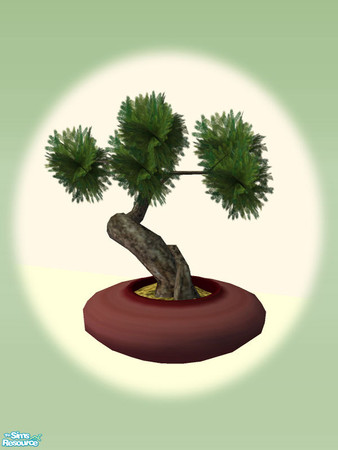 Sims 2 — Oriental Garden - Bonsai Pot - 01 by Shakeshaft — Part of a recolour set of my Oriental Garden, with stone