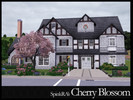 Sims 3 — Cherry Blossom by SpinkRA2 — A charming five-bedroom house for all your Sims! And don't forget the secret