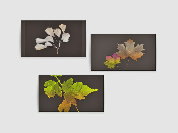 Sims 3 — Ung999 - Painting_Leaves by ung999 — Ung999 - Painting_Leaves @ TSR - 3 painting in one file